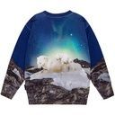 Jungen Pullover mit Eisbär-Familie 2