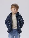 Softshelljacke mit Dinosaurierdruck Druck 5