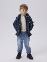Softshelljacke mit Dinosaurierdruck Druck 6