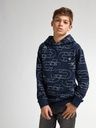 Jungen Hoodie mit Allover Print 4