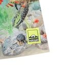 Farbige Jungen Badeshorts Unterwasserwelt 3