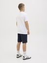 Sweatshorts mit kleinem Druck 7