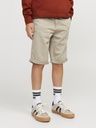 Chino Shorts 2