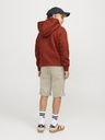 Chino Shorts 4