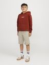 Chino Shorts 7