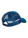 Baseball Cap Protest  2