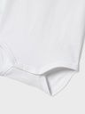 Poloshirt Body 2