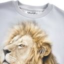 Knaben Sweatshirt mit Löwenmotiv 3