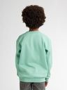 Knaben Sweatshirt mit kleinem Brustdruck 5