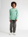 Knaben Sweatshirt mit kleinem Brustdruck 8