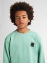Knaben Sweatshirt mit kleinem Brustdruck 9