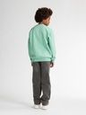 Knaben Sweatshirt mit kleinem Brustdruck 10