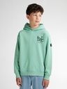 Knaben Kapuzenpulli mit kleinem Brustprint 4