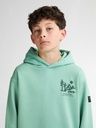 Knaben Kapuzenpulli mit kleinem Brustprint 9