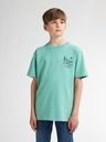 Knaben Petrol T-Shirt mit Rückenprint 4