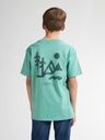 Knaben Petrol T-Shirt mit Rückenprint 5