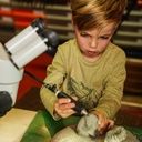 Jungen Langarmshirt mit Bergeprint 3