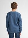 Knaben Sweatshirt mit kleinem Brustdruck 5