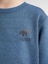 Knaben Sweatshirt mit kleinem Brustdruck 6