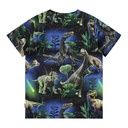 Knaben T-Shirt mit Dino-Fotodruck 2