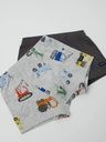 2-Pack Knaben Boxershorts Bagger-Print 2