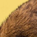 Plüschtier Luxus-Häschen 3