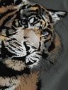 Knaben Langarmshirt Tiger 3