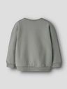 Knaben Sweatshirt Tiger 2