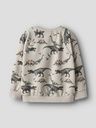 Knaben Sweatshirt Dinos 3