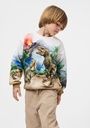 Jungen Sweater mit Dinos 2