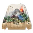 Jungen Sweater mit Dinos 3