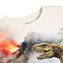 Jungen Sweater mit Dinos 4