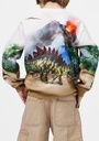 Jungen Sweater mit Dinos 5