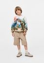 Jungen Sweater mit Dinos 6
