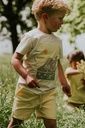 Knaben T-Shirt Sommer-Print 4