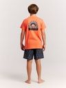 Knaben Beachshorts Palmen-Print 3