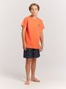 Knaben Beachshorts Palmen-Print 6