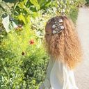 Biene Haarspängeli 2