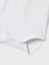 Poloshirt Body 2