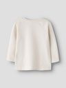 Baby Langarmshirt Dino 2