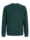 Sweatshirt Rundhals mit schlichtem Druck 2