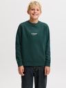 Sweatshirt Rundhals mit schlichtem Druck 3