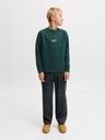 Sweatshirt Rundhals mit schlichtem Druck 5