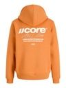 Knaben Hoodie mit Rückenprint 2