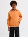 Knaben Hoodie mit Rückenprint 3