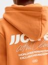 Knaben Hoodie mit Rückenprint 5