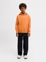 Knaben Hoodie mit Rückenprint 8