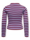 Langarmshirt gestreift 2