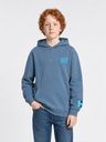 Jungen Hoodie mit Print 2