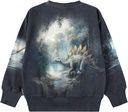 Jungen Sweatshirt mit Dino-Print 5